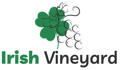 Irish Vineyard