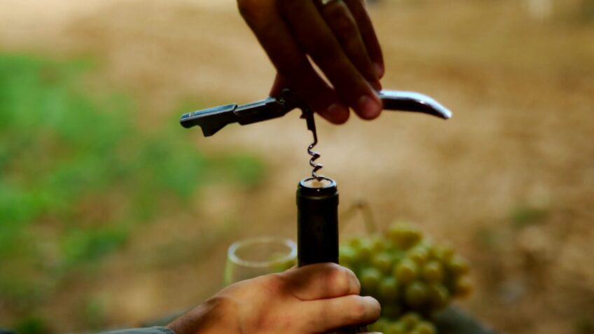 Exploring Different Types of Wine Openers